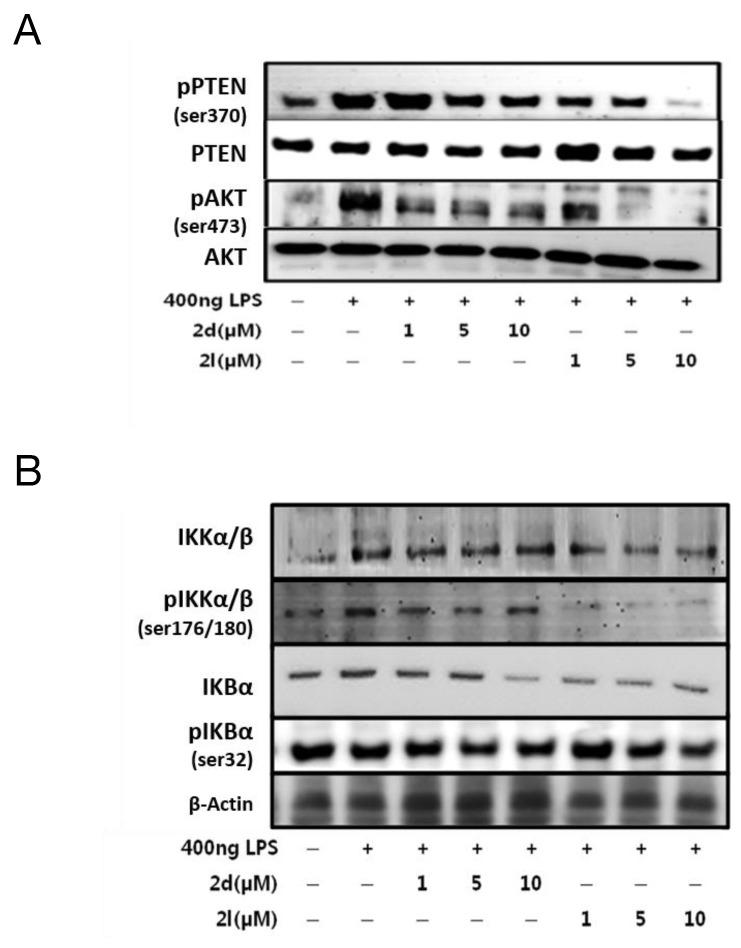 https://cdn.ncbi.nlm.nih.gov/pmc/blobs/bc44/5710955/8fb4e0ee56c0/oncotarget-08-91662-g006.jpg