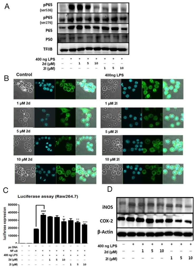 https://cdn.ncbi.nlm.nih.gov/pmc/blobs/bc44/5710955/de729bd98570/oncotarget-08-91662-g005.jpg