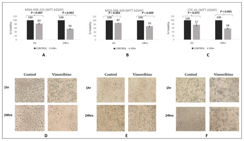 https://cdn.ncbi.nlm.nih.gov/pmc/blobs/bc55/10416943/14c5b806130a/cells-12-01940-g007.jpg