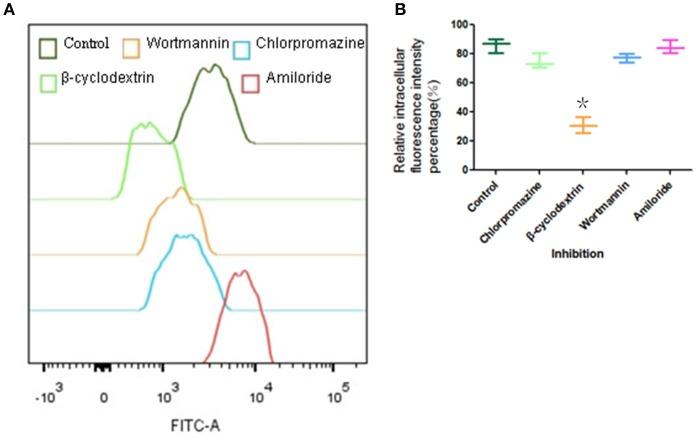 https://cdn.ncbi.nlm.nih.gov/pmc/blobs/bc63/5681924/67342d934e39/fphar-08-00781-g0006.jpg