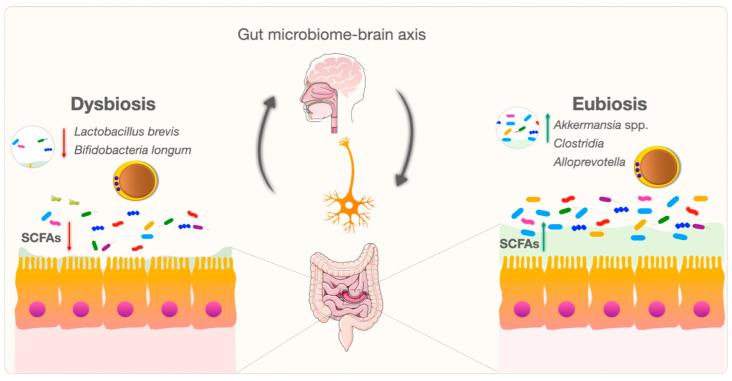 https://cdn.ncbi.nlm.nih.gov/pmc/blobs/bc68/10972062/e5af95e54b98/microorganisms-12-00461-g003.jpg