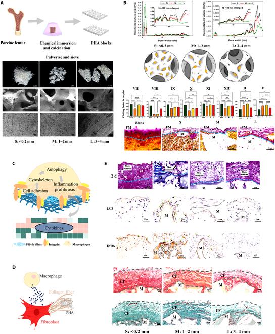 https://cdn.ncbi.nlm.nih.gov/pmc/blobs/bc6d/10503960/1cdb682f36a7/research.0225.fig.001.jpg