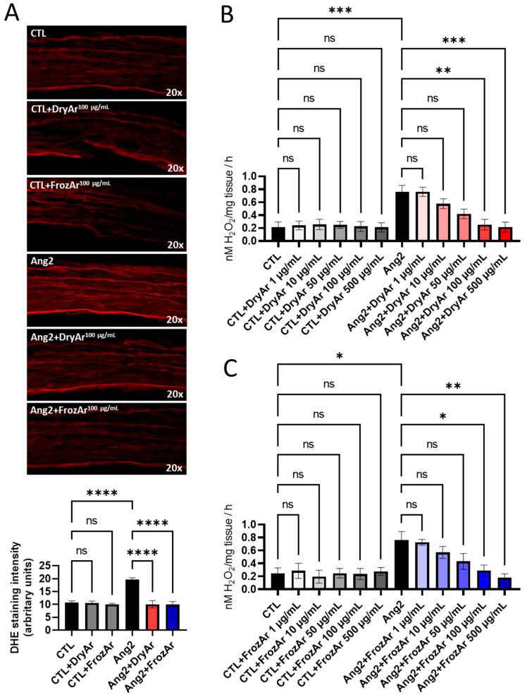 https://cdn.ncbi.nlm.nih.gov/pmc/blobs/bc6e/11677783/458032304a22/ijms-25-13520-g001.jpg