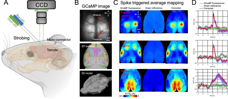 https://cdn.ncbi.nlm.nih.gov/pmc/blobs/bc71/10645427/5ef2d0118336/elife-87691-fig3.jpg