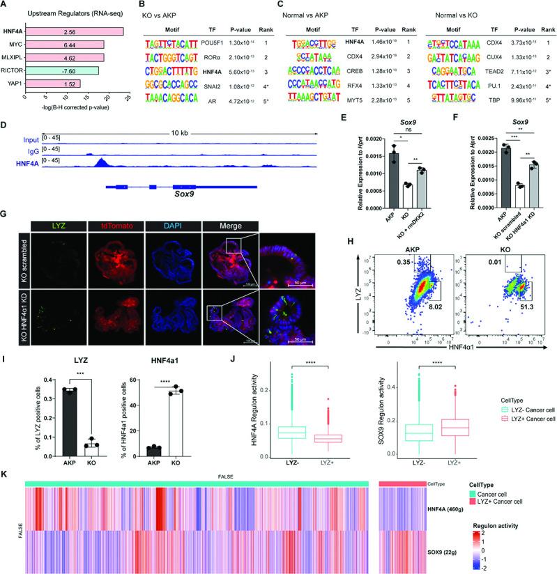 https://cdn.ncbi.nlm.nih.gov/pmc/blobs/bc73/11560131/59698a8d864c/elife-97279-fig6.jpg