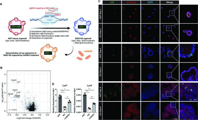 https://cdn.ncbi.nlm.nih.gov/pmc/blobs/bc73/11560131/9948deeb73bf/elife-97279-fig2.jpg