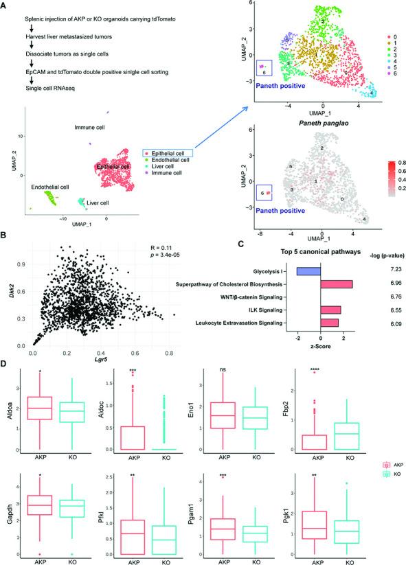 https://cdn.ncbi.nlm.nih.gov/pmc/blobs/bc73/11560131/b0eb94ceb1f7/elife-97279-fig3.jpg