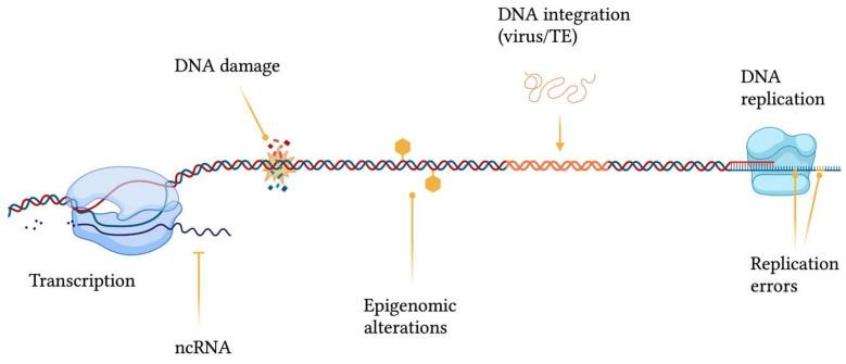 https://cdn.ncbi.nlm.nih.gov/pmc/blobs/bc7b/10380557/bc4ddcef49ee/ijms-24-11437-g001.jpg