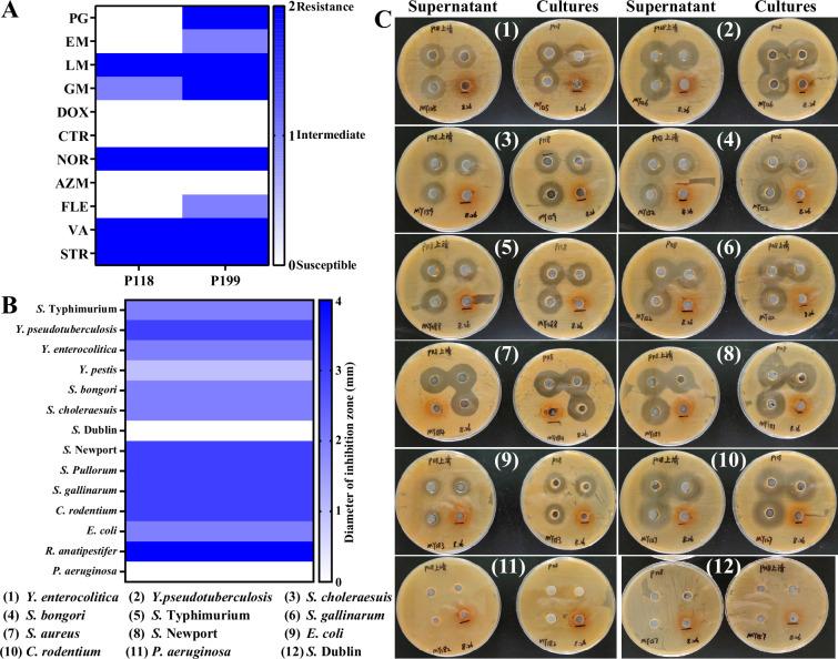 https://cdn.ncbi.nlm.nih.gov/pmc/blobs/bc7e/12331243/103c2452bcf0/elife-101198-fig1-figsupp1.jpg