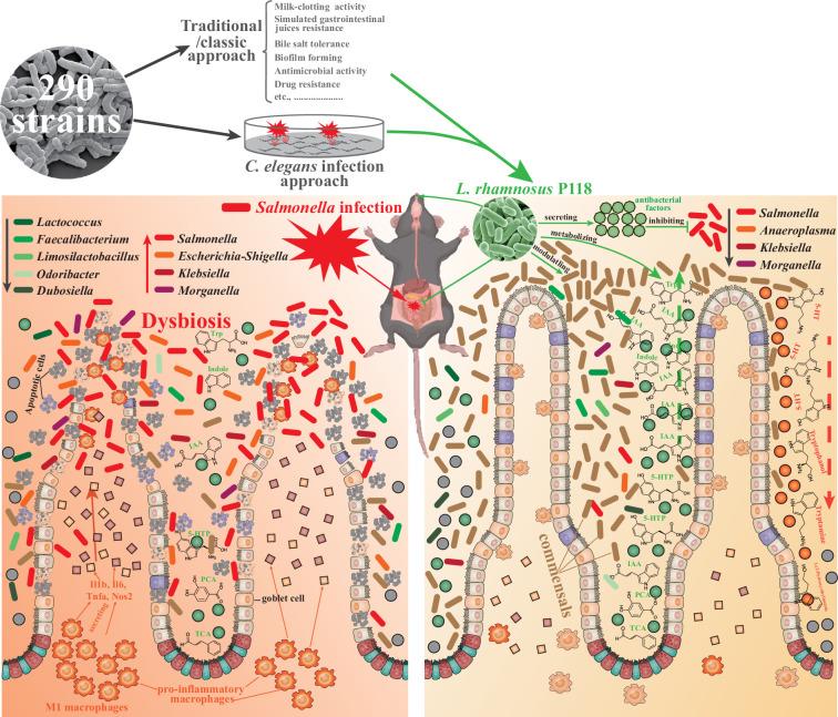 https://cdn.ncbi.nlm.nih.gov/pmc/blobs/bc7e/12331243/1c868cee569c/elife-101198-fig7.jpg