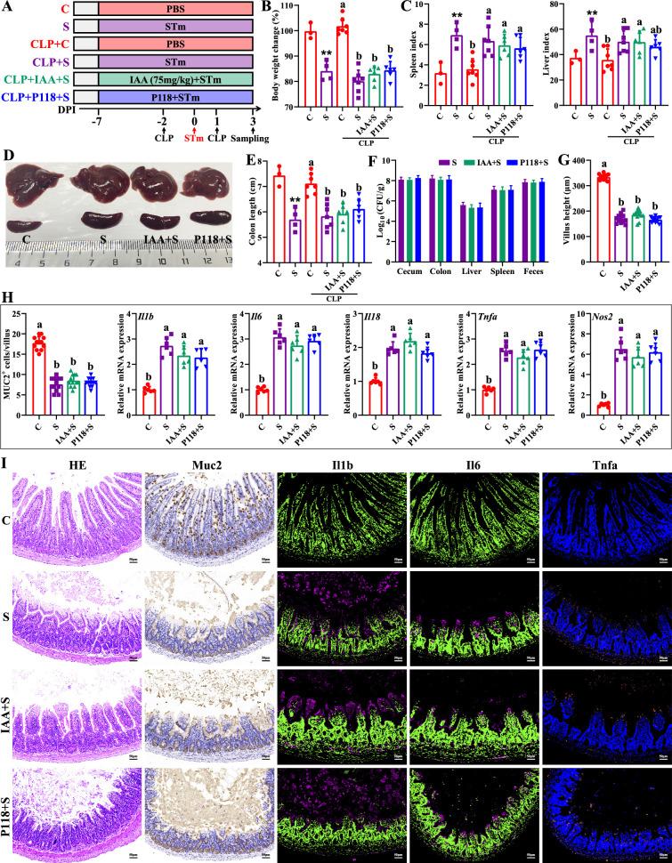 https://cdn.ncbi.nlm.nih.gov/pmc/blobs/bc7e/12331243/55b19f7ff1c2/elife-101198-fig6.jpg