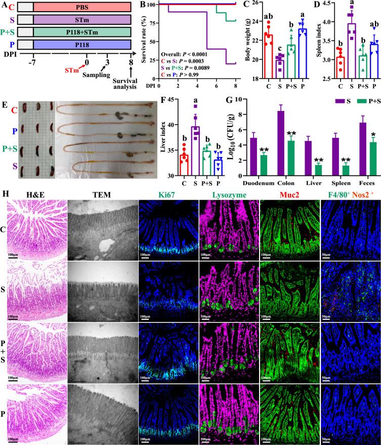 https://cdn.ncbi.nlm.nih.gov/pmc/blobs/bc7e/12331243/7abef0228fce/elife-101198-fig2.jpg
