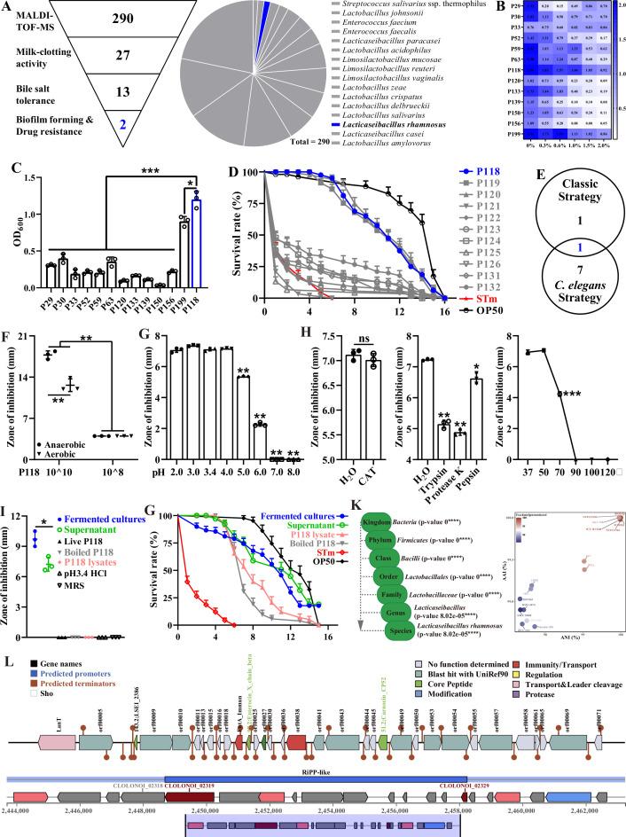 https://cdn.ncbi.nlm.nih.gov/pmc/blobs/bc7e/12331243/90822a3336b6/elife-101198-fig1.jpg