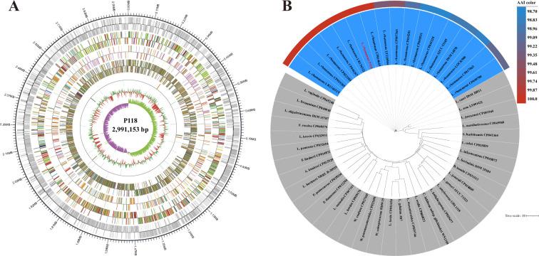 https://cdn.ncbi.nlm.nih.gov/pmc/blobs/bc7e/12331243/c9a6102bbf39/elife-101198-fig1-figsupp2.jpg