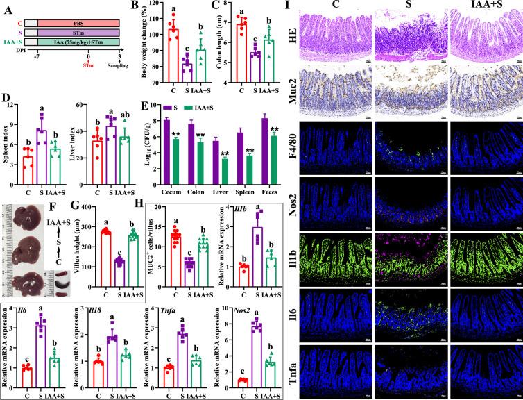 https://cdn.ncbi.nlm.nih.gov/pmc/blobs/bc7e/12331243/d7b6701eb4da/elife-101198-fig5.jpg