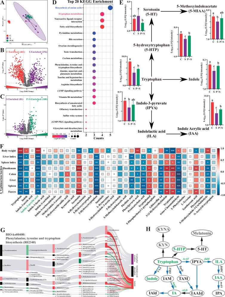 https://cdn.ncbi.nlm.nih.gov/pmc/blobs/bc7e/12331243/e0737737a48c/elife-101198-fig4.jpg