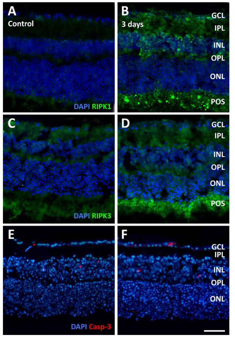 https://cdn.ncbi.nlm.nih.gov/pmc/blobs/bc87/11356793/49c03a265d2c/pathogens-13-00701-g009.jpg