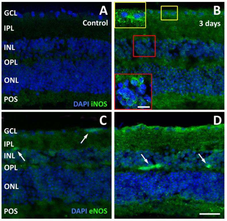 https://cdn.ncbi.nlm.nih.gov/pmc/blobs/bc87/11356793/a9a14fb96f11/pathogens-13-00701-g007.jpg
