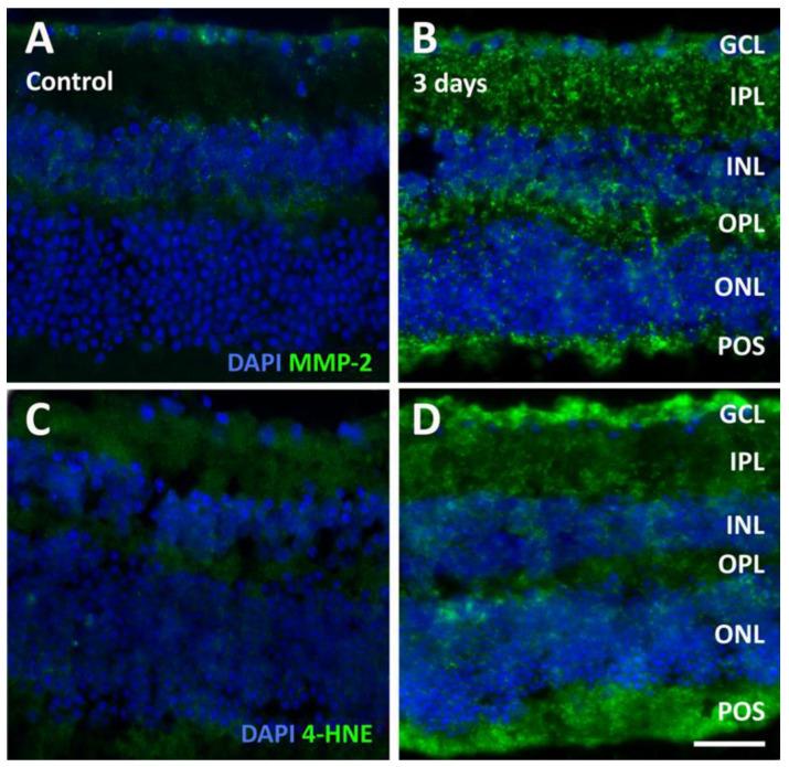 https://cdn.ncbi.nlm.nih.gov/pmc/blobs/bc87/11356793/acf86feb442b/pathogens-13-00701-g008.jpg
