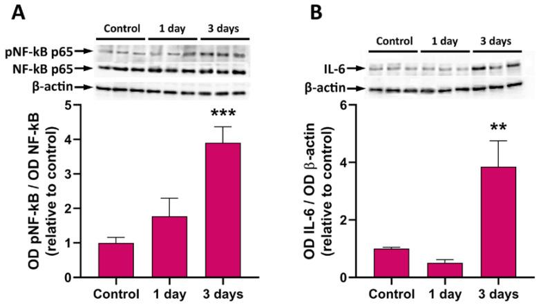 https://cdn.ncbi.nlm.nih.gov/pmc/blobs/bc87/11356793/ae4b38f2c8e5/pathogens-13-00701-g006.jpg