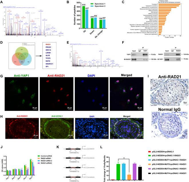 https://cdn.ncbi.nlm.nih.gov/pmc/blobs/bc8c/11628678/044650193158/research.0544.fig.006.jpg