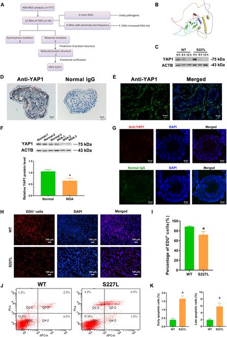 https://cdn.ncbi.nlm.nih.gov/pmc/blobs/bc8c/11628678/044c1dc227a5/research.0544.fig.001.jpg