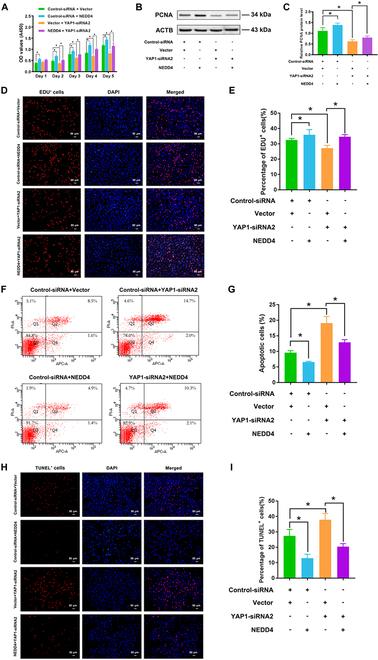 https://cdn.ncbi.nlm.nih.gov/pmc/blobs/bc8c/11628678/8d6349442f63/research.0544.fig.005.jpg
