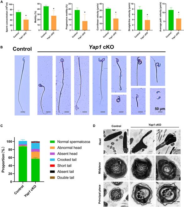 https://cdn.ncbi.nlm.nih.gov/pmc/blobs/bc8c/11628678/a39f0631cdaa/research.0544.fig.008.jpg