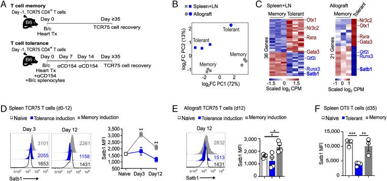 https://cdn.ncbi.nlm.nih.gov/pmc/blobs/bc9c/9546564/6f1235de641e/pnas.2205062119fig01.jpg