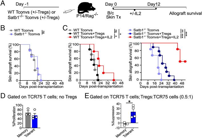 https://cdn.ncbi.nlm.nih.gov/pmc/blobs/bc9c/9546564/ad6eef8e4e8d/pnas.2205062119fig03.jpg