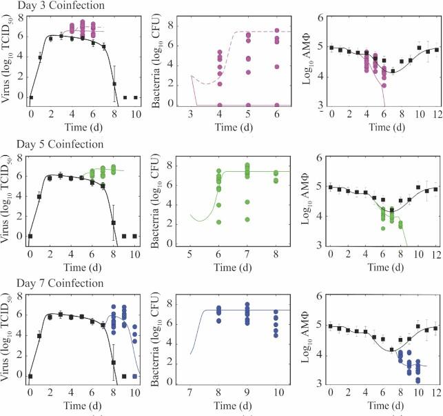 https://cdn.ncbi.nlm.nih.gov/pmc/blobs/bca0/10117793/aaf82e2cabe3/xtac022fig1.jpg