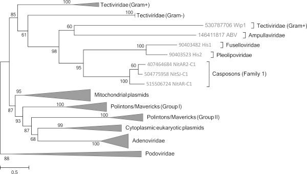 https://cdn.ncbi.nlm.nih.gov/pmc/blobs/bca2/4046053/8facc314a42b/1741-7007-12-36-3.jpg