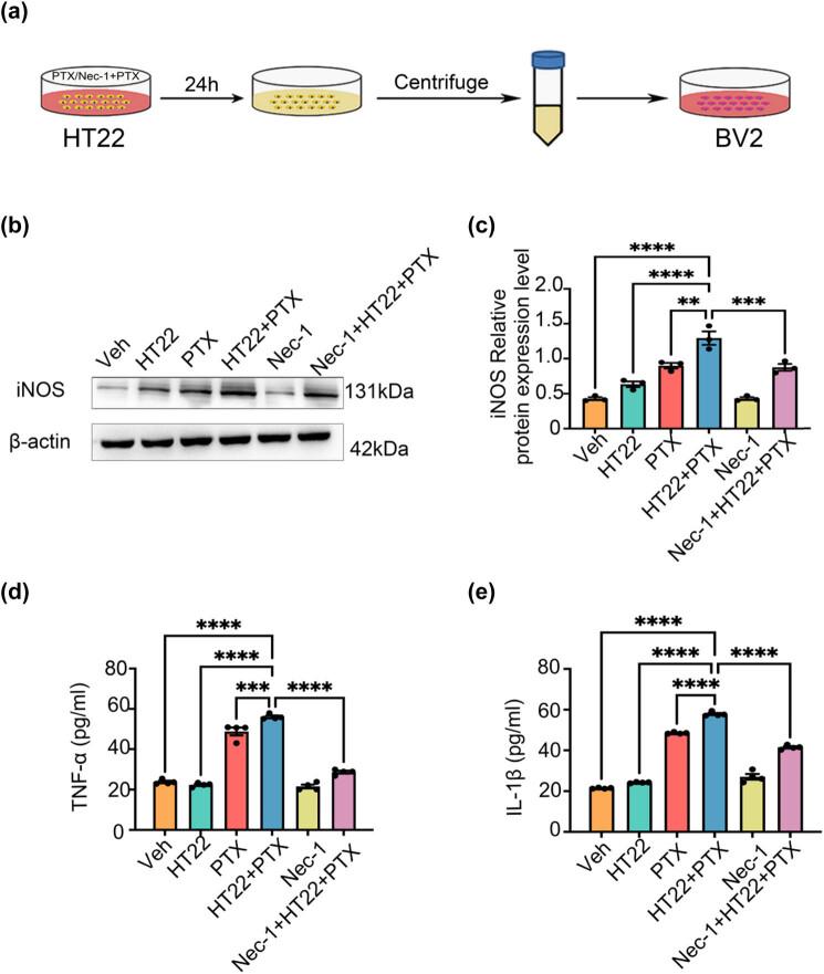 https://cdn.ncbi.nlm.nih.gov/pmc/blobs/bcab/12048903/2816e6ae3538/j_med-2025-1182-fig004.jpg