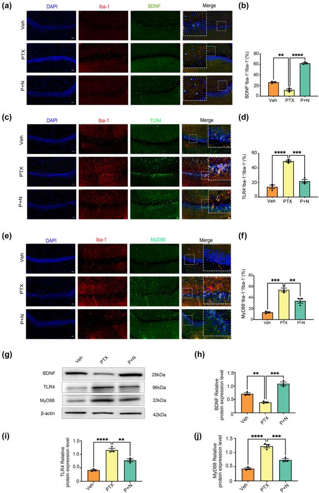 https://cdn.ncbi.nlm.nih.gov/pmc/blobs/bcab/12048903/599f31a3d00e/j_med-2025-1182-fig003.jpg