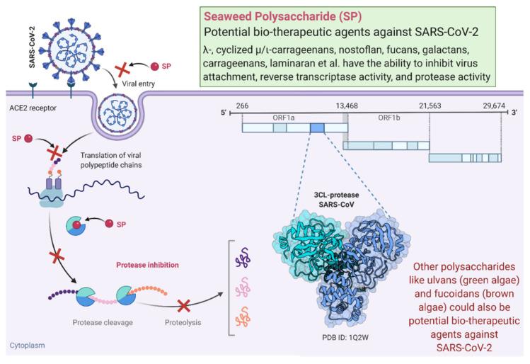 https://cdn.ncbi.nlm.nih.gov/pmc/blobs/bcb7/8068085/df5abe11f444/molecules-26-02134-g001.jpg