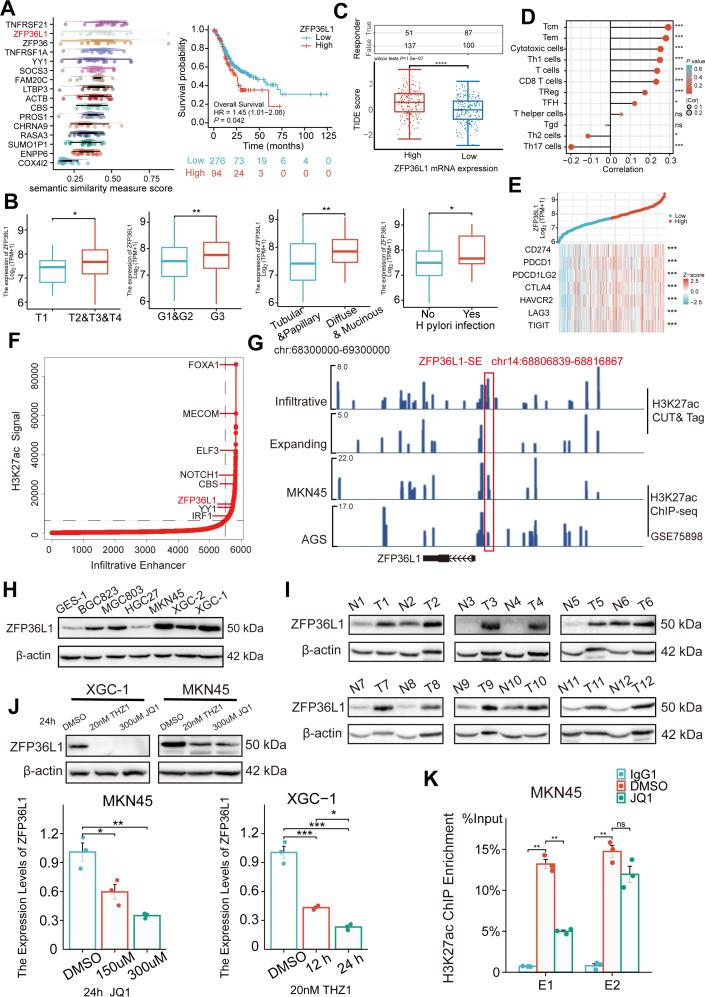 https://cdn.ncbi.nlm.nih.gov/pmc/blobs/bcc2/11458174/2881f935e015/elife-96445-fig2.jpg