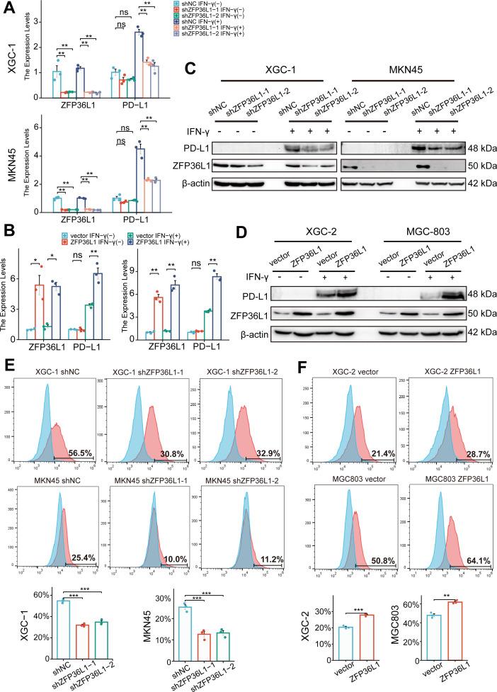 https://cdn.ncbi.nlm.nih.gov/pmc/blobs/bcc2/11458174/360d37107b58/elife-96445-fig3.jpg