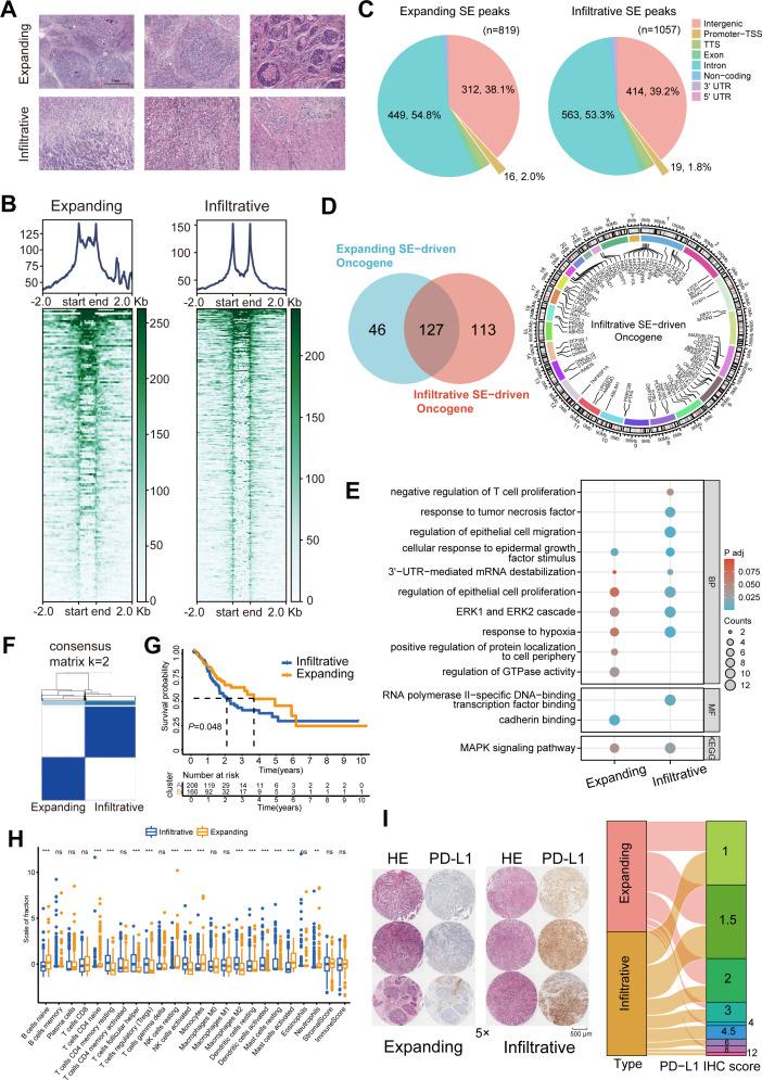 https://cdn.ncbi.nlm.nih.gov/pmc/blobs/bcc2/11458174/504328a0e43c/elife-96445-fig1.jpg