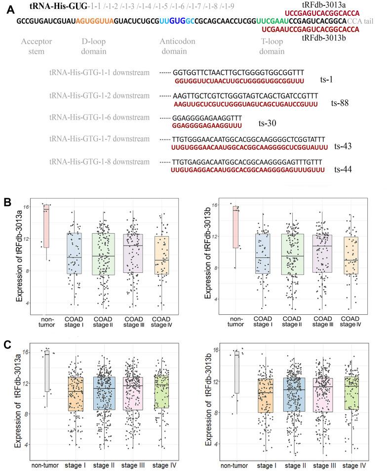 https://cdn.ncbi.nlm.nih.gov/pmc/blobs/bcc8/10968714/279b27e1ed73/aging-16-205590-g002.jpg