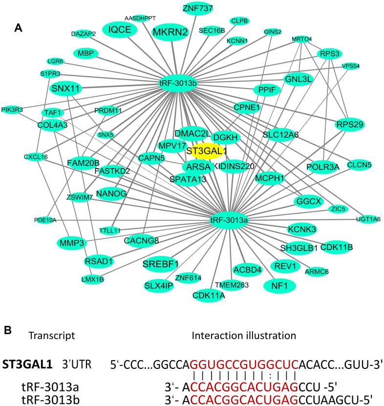 https://cdn.ncbi.nlm.nih.gov/pmc/blobs/bcc8/10968714/39a1b2966a1a/aging-16-205590-g008.jpg