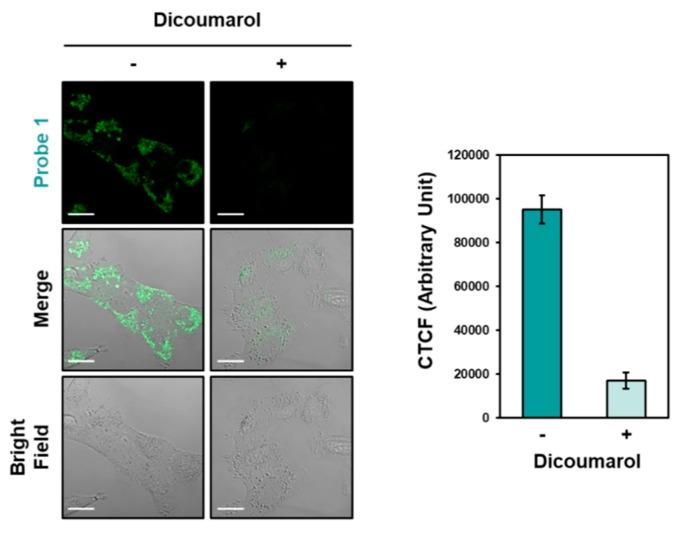 https://cdn.ncbi.nlm.nih.gov/pmc/blobs/bcc9/6982707/f5314be2b70f/sensors-20-00053-g007.jpg