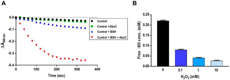 https://cdn.ncbi.nlm.nih.gov/pmc/blobs/bccb/8301015/16481910f039/antioxidants-10-01148-g004.jpg