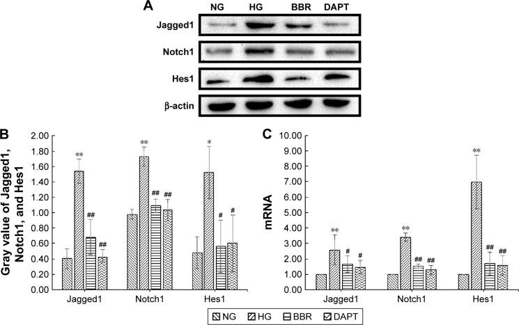 https://cdn.ncbi.nlm.nih.gov/pmc/blobs/bce8/5384688/a3f260e59493/dddt-11-1065Fig9.jpg