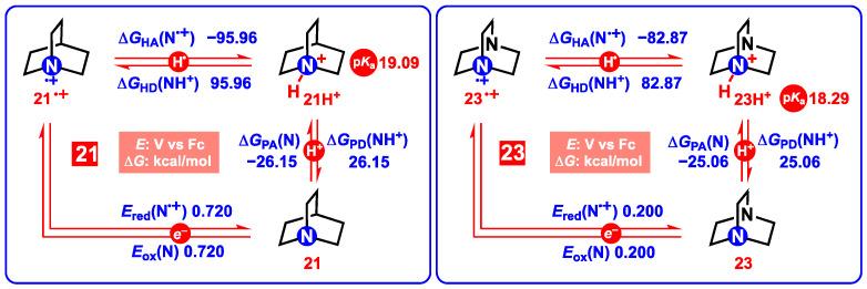 https://cdn.ncbi.nlm.nih.gov/pmc/blobs/bceb/11819841/b46b42b32687/molecules-30-00435-sch005.jpg