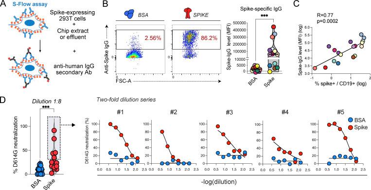 https://cdn.ncbi.nlm.nih.gov/pmc/blobs/bcef/11383861/65c44f013ab3/JEM_20240289_Fig2.jpg