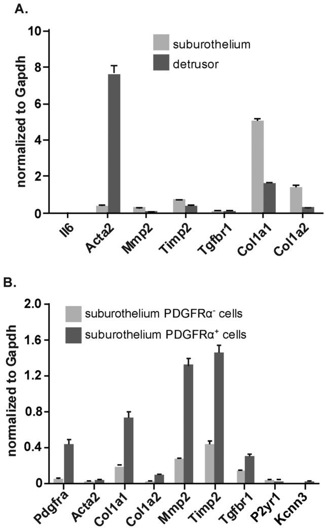 https://cdn.ncbi.nlm.nih.gov/pmc/blobs/bd01/12012138/6415415268e4/41598_2025_96860_Fig4_HTML.jpg
