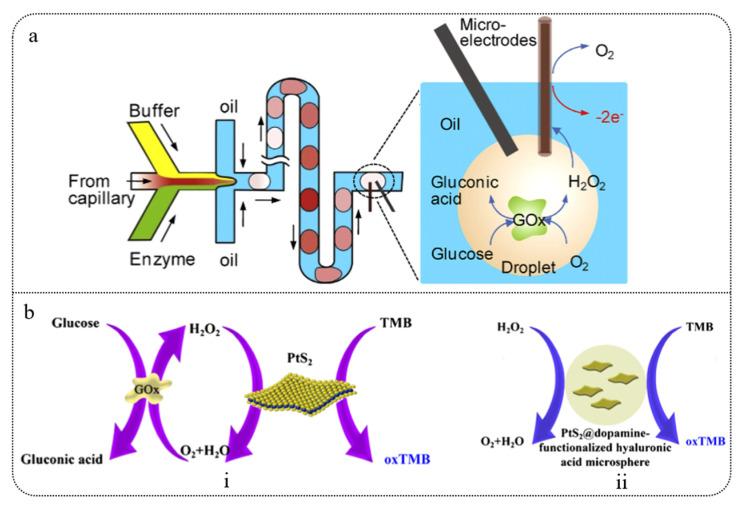 https://cdn.ncbi.nlm.nih.gov/pmc/blobs/bd01/12110629/8695db0b3de2/biosensors-15-00309-g005.jpg
