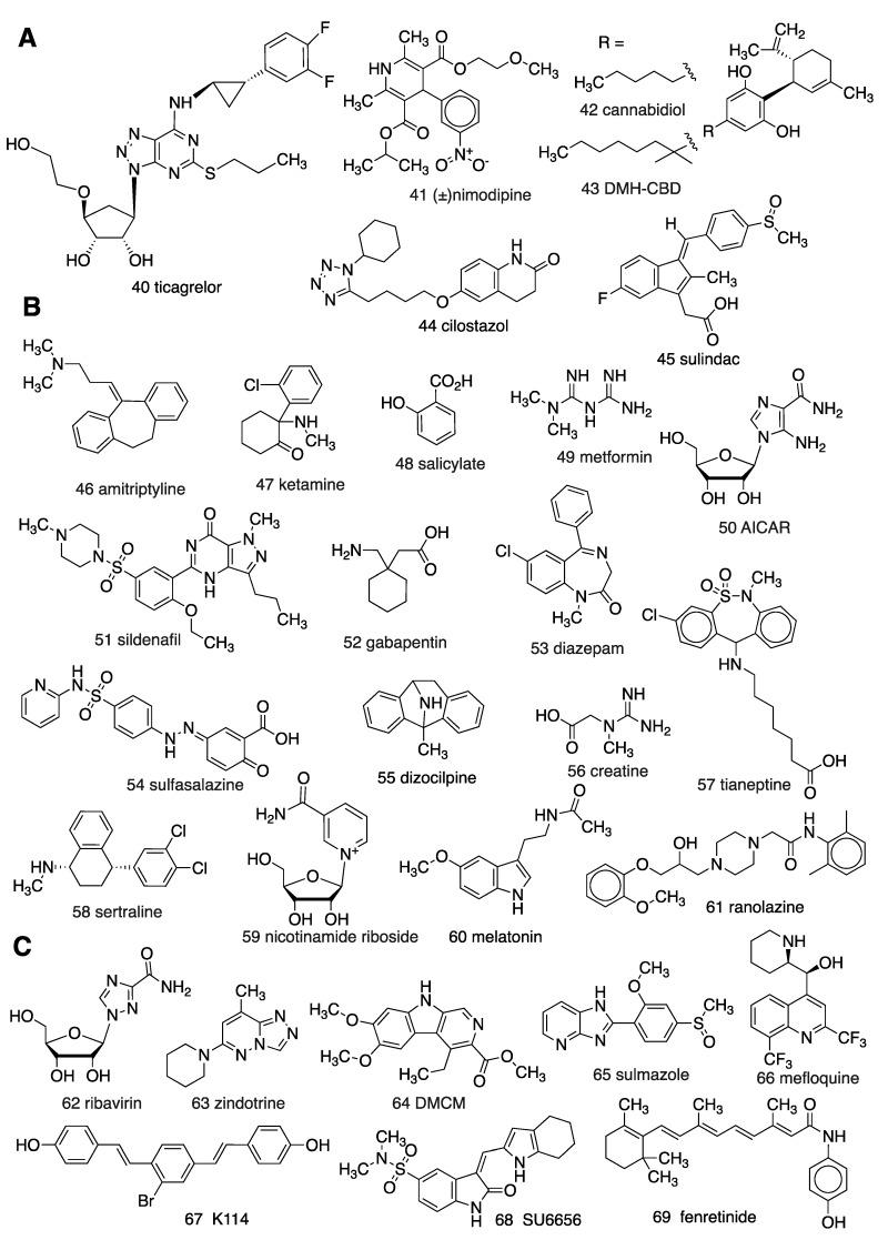 https://cdn.ncbi.nlm.nih.gov/pmc/blobs/bd13/7226956/9c49846e6a73/cells-09-00956-g003.jpg