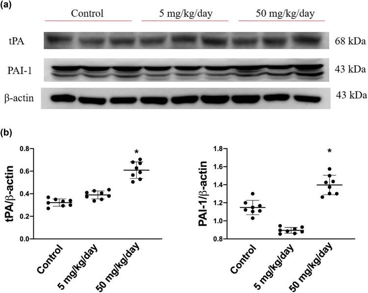 https://cdn.ncbi.nlm.nih.gov/pmc/blobs/bd33/8565594/1b92ccdad094/j_biol-2021-0116-fig006.jpg