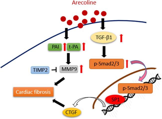 https://cdn.ncbi.nlm.nih.gov/pmc/blobs/bd33/8565594/3961703e552c/j_biol-2021-0116-fig008.jpg